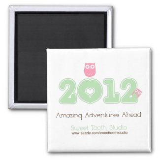 2012 Amazing Adventures Ahead magnet