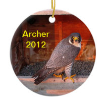 2012 Archer Ornament ornaments