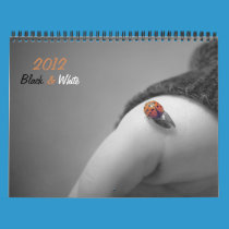 2012 b&w Calendar calendars