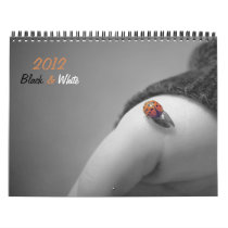 2012 b&w Calendar