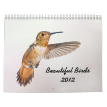 2012 Beautiful Birds Calendar