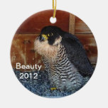2012 Beauty Ornament
