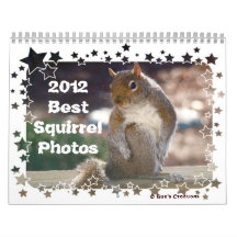 2012 Best Squirrel Photos Calendars