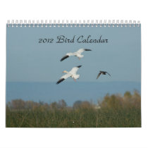 2012 BIRD CALENDAR calendars