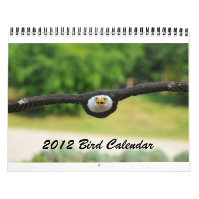 2012 Bird Calendar by camerawithlegs