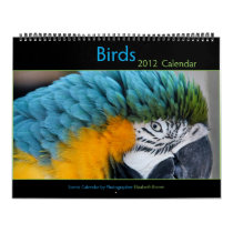 2012 Bird Calendar