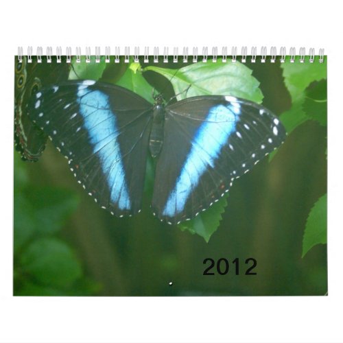 2012 Butterflies calendar