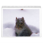 2012 Calendar