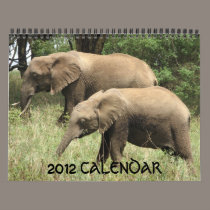 2012 CALENDAR calendars