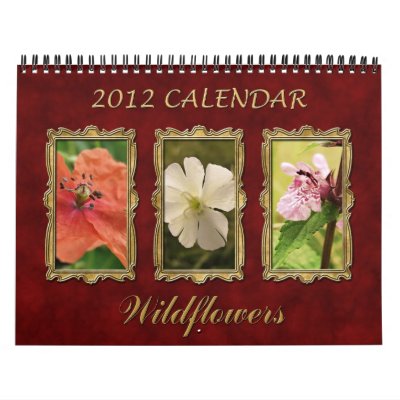 2012 Calendar: Artistic Wildflowers by MarinaDesign