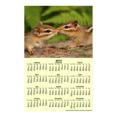 2012 Calendar - Baby Chipmunks Poster Calendar by Meg_Stewart