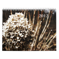 2012 calendar beauty of nature