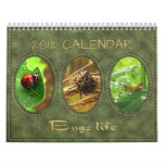 2012 Calendar: Bugs Life