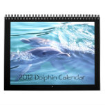 2012 Calendar Dolphin Photography