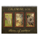 2012 Calendar: Pieces of nature