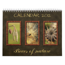 2012 Calendar: Pieces of nature