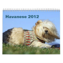 2012 Calendar to benefit Havanese rescue