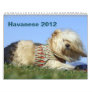 2012 Calendar to benefit Havanese rescue
