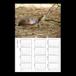 2012 Calendar - Turtle Neck posters