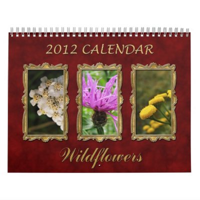 2012 Calendar: Wildflowers by MarinaDesign