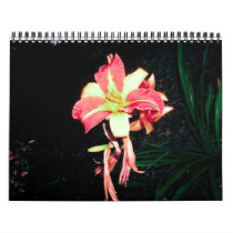 2012 Calender Wall Calendars