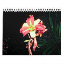 2012 Calender Wall Calendars