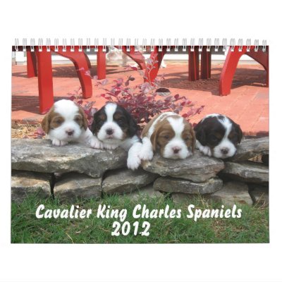 2012 Cavalier King Charles Spaniel Calendar by mwdane1
