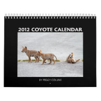 2012 Coyote Wall Calendar
