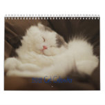 2012 Cute Cats Wall Calendar