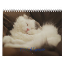 2012 Cute Cats Wall Calendar