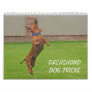 2012 Dachshund Dog Tricks Calendar