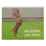 2012 Dachshund Dog Tricks Calendar