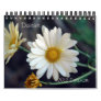 2012 Daisies Wall Calendar