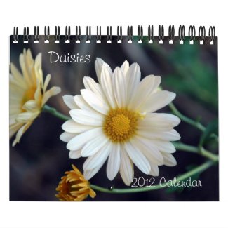 2012 Daisies Wall Calendar calendar