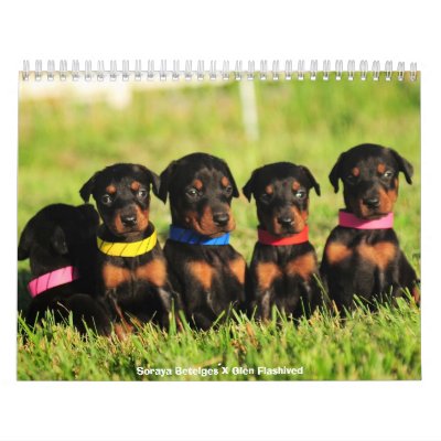 2012 Doberman Puppy Calendar by familydobes