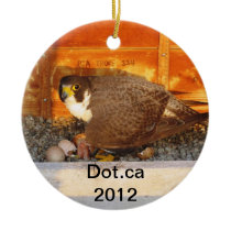 2012 Dot.ca Ornament ornaments