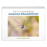 2012 Dragonfly Wall Calendar