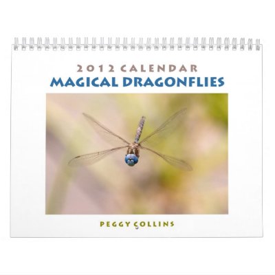 2012 Wall Calendar on 2012 Dragonfly Wall Calendar From Zazzle Com