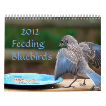 2012 Feeding Bluebirds Wall Calendars