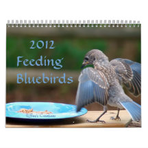 2012 Feeding Bluebirds Wall Calendars