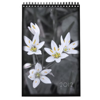 2012 Floral Calendar 12 single page months by kithseer