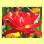 2012 Flower Calendar calendars
