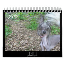 2012 hairless dogs calendar