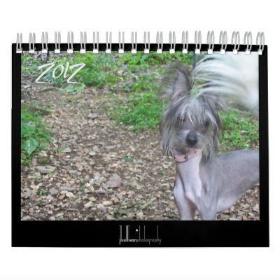 2012 hairless dogs calendar by jlsphoto