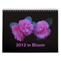2012 In Bloom Wall Calendars