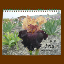 2012, Iris Calendar,  Bold & Beautiful calendars