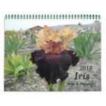 2012, Iris Calendar,  Bold & Beautiful