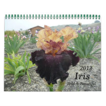 2012, Iris Calendar,  Bold & Beautiful
