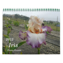 2012, Iris Calendar, Pretty Pastels