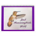 2012 Just Hummingbirds Calendar
